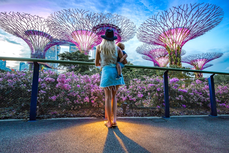 Gardens by the bay (1 of 1)